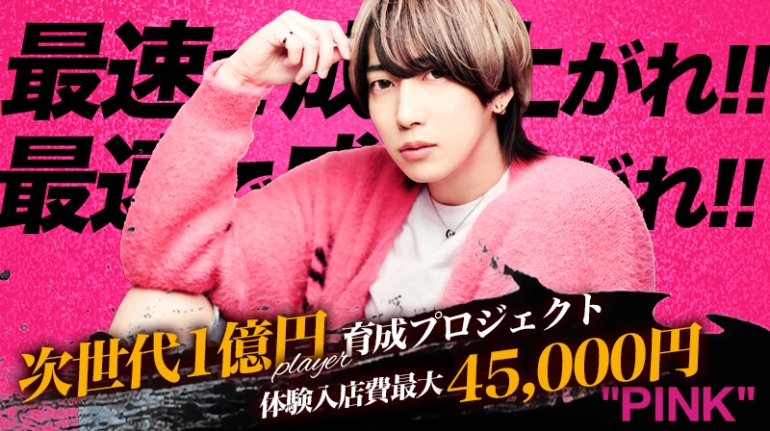 PINK(sN)̏Љ摜