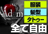 {[CYo[ Adam `A_`({[CYo[A_)̃C[W摜3