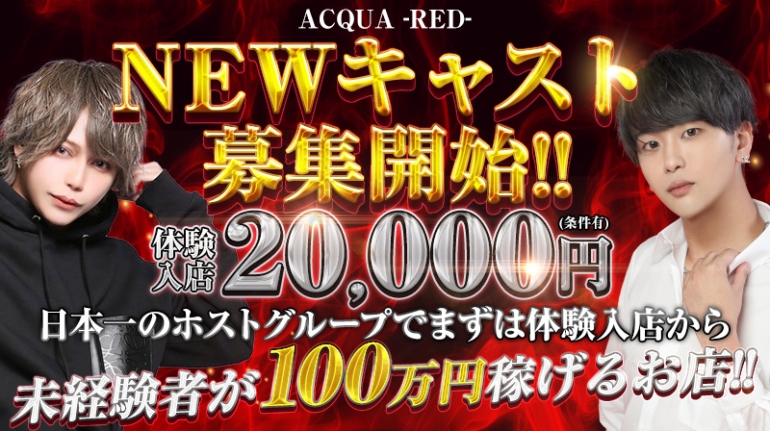 ACQUA-RED-(ANAbh)̏Љ摜