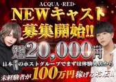 ACQUA-RED-iˁj(ANAbh)̃C[W摜1