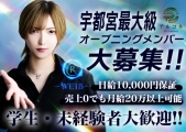 R WEIBiFs{j(A[@CX)̃C[W摜1