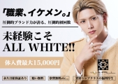 ALL WHITE(I[zCg)̃C[W摜1